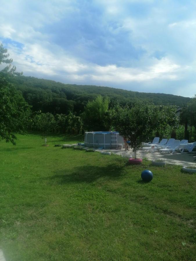 Casa Amaya Bacău Екстериор снимка