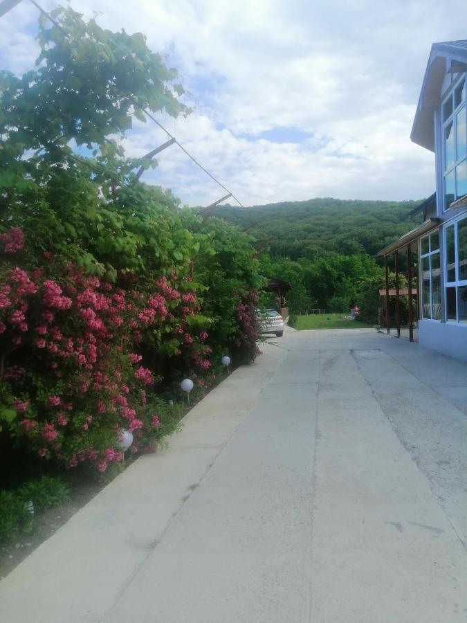 Casa Amaya Bacău Екстериор снимка