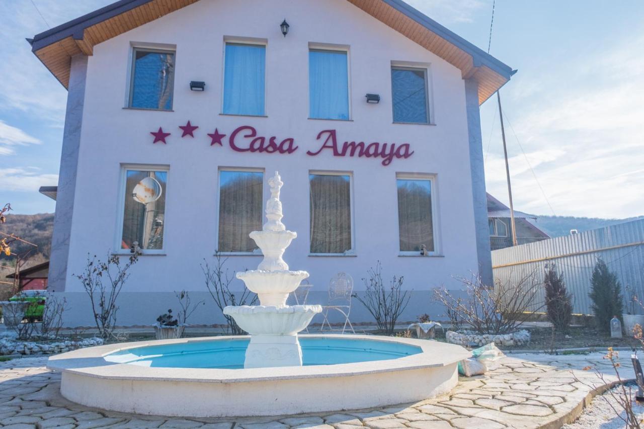 Casa Amaya Bacău Екстериор снимка